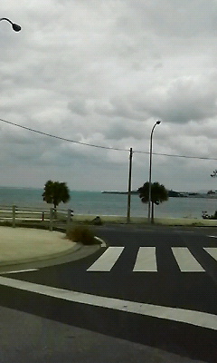 うみぃぃぃぃ！