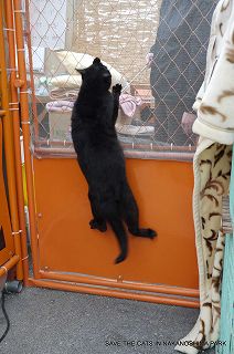 それは無茶でしょう…