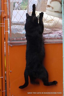 そのまま力尽きる…