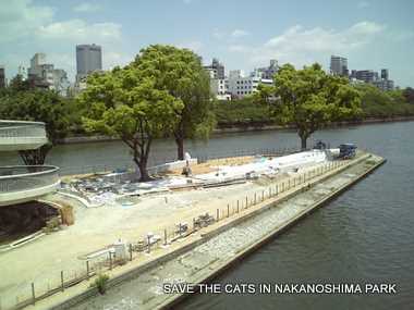 今日の中之島公園剣先