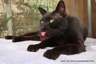 舌出てるよぉ～