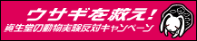 クリックしてください！