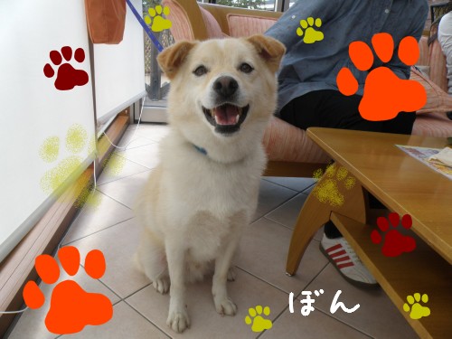 ぼん.JPG
