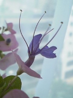 2009-08-29 09:16:24