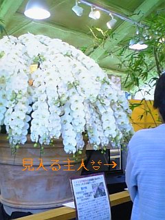2009-05-19 18:40:56