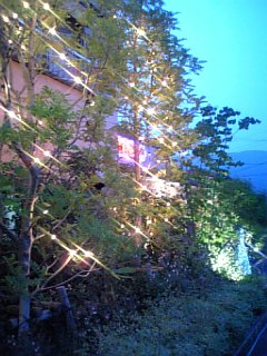 2008-12-29 15:09:04