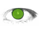 目ヂカラ　Green Eye