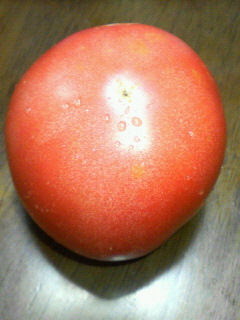 トマト080725-1