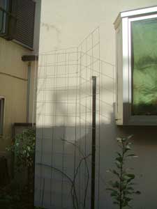 DSCF6501.jpg