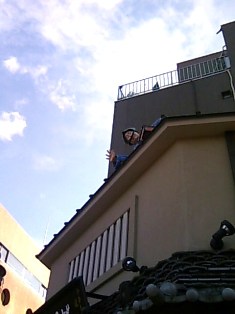 屋根の上には鼠小僧