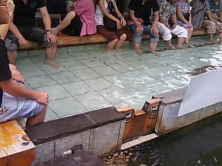 足湯はいいね　２００８年８月１７日.jpg