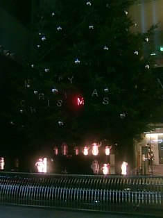 MIKIMOTO　ツリー