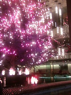 三越から観たジャンボツリー