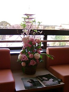 公会堂の窓から見た五重塔