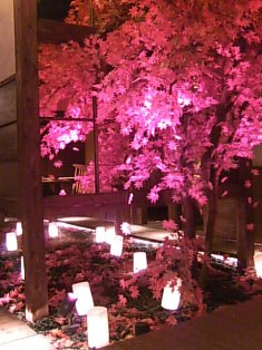 和乃個室 紅葉時雨