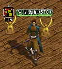 １０月１７日蜘蛛