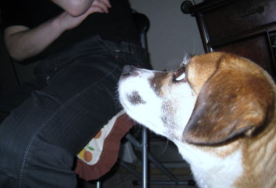 IMG_5129b.jpg