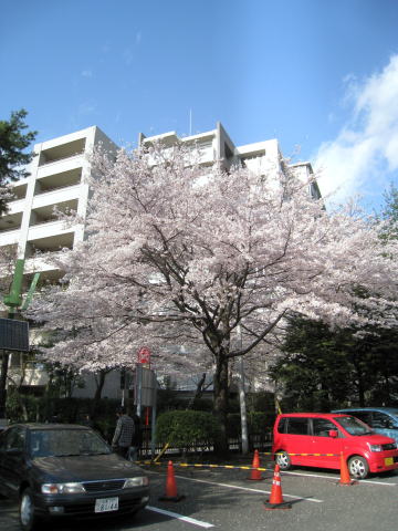 IMG_4409a.jpg