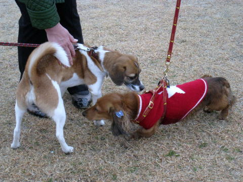 IMG_3461a.jpg