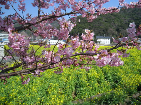 IMG_3844a.jpg