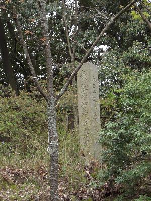 知足院の桜の石碑