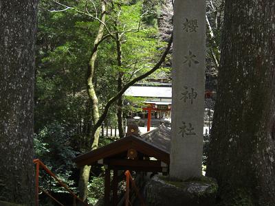 桜木神社・屋根橋