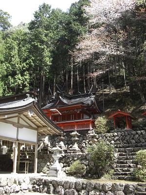 桜木神社本殿