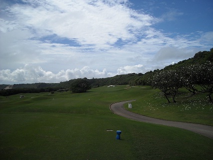 mangilao NO18 TEE2
