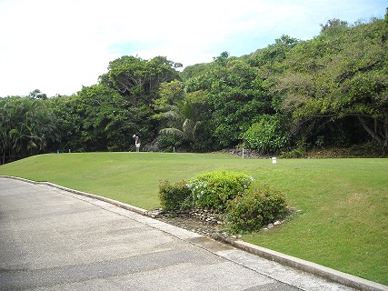 mangilao NO15 OB打ち直し