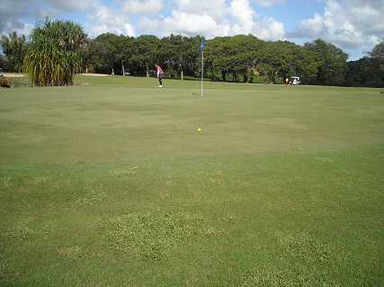 talofofo NO5 GREEN