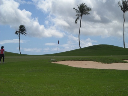 talofofo NO11 GREEN2