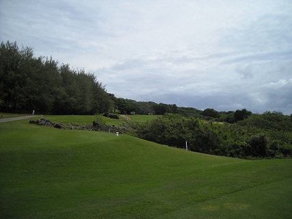 mangilao NO11 TEE