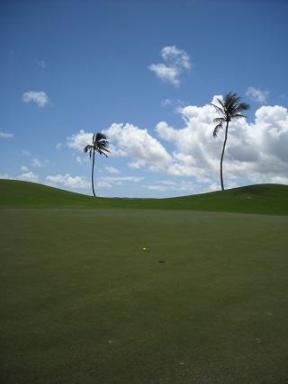 talofofo NO11 GREEN.