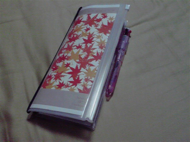 超整理手帳クリアケース