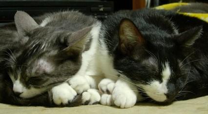 蓮＆花梨 10.2.15