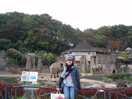 tama zoo with elephant