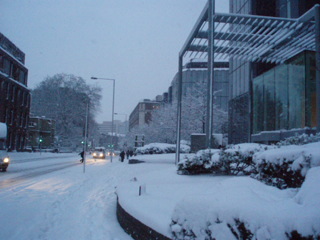 20090202-6