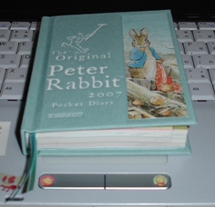 2007Diary
