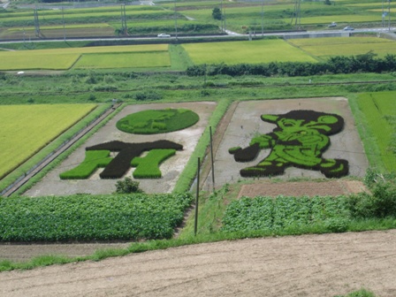 トラちゃん田んぼ2006