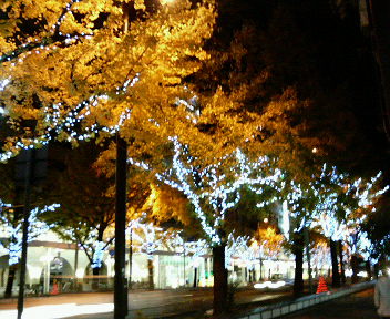 夜です