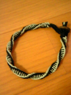 HEMP3