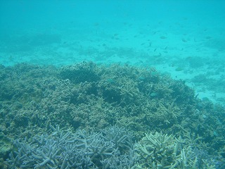 DSC08161.jpg
