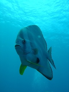 DSC01022.jpg