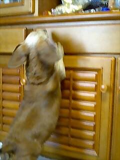 20060417-3.jpg