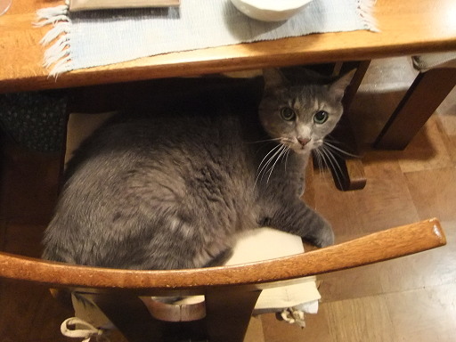 そこ私の席なんだけどなぁ～