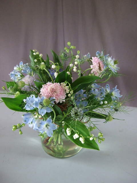 小さなシュトラウス