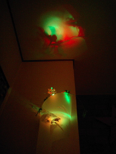 2009/ランプ講習会　