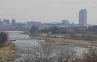 県庁遠景