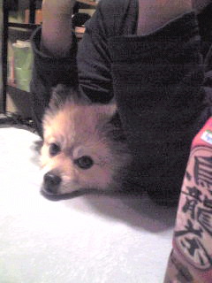 見てますね。。