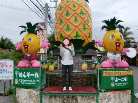 ぱいなっぷるぱーく